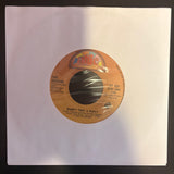 The Rovers: Wasn't That A Party / Here's to the Horses (7")