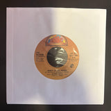 The Rovers: Wasn't That A Party / Here's to the Horses (7")