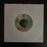 Debby Boone / The Boones: You Light Up My Life / He's A Rebel (7")