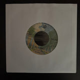 Debby Boone / The Boones: You Light Up My Life / He's A Rebel (7")